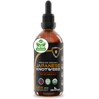 Japanese Knotweed Tincture