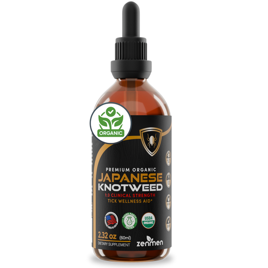 Japanese Knotweed Tincture