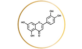 Product Ingredients