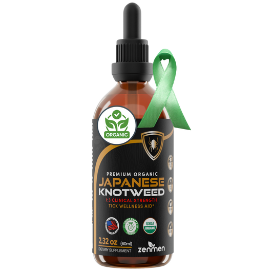 Japanese Knotweed Tincture