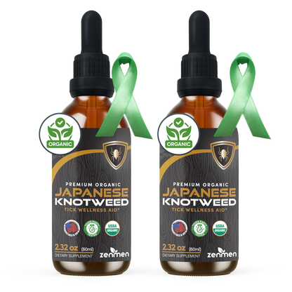 Japanese Knotweed Tincture