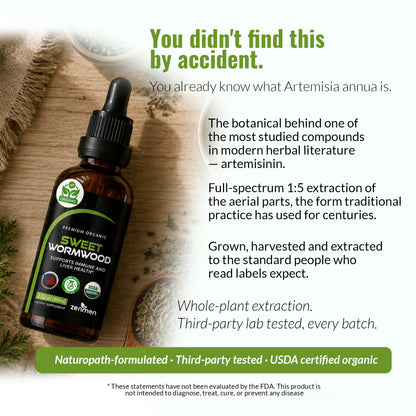 A bottle of Zenmen Sweet Wormwood 60ml herbal tincture is displayed on a rustic wooden surface with text overlays describing its botanical and extraction details.