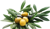 Product Ingredients