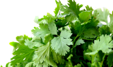 Product Ingredients