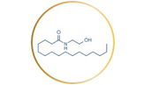 Product Ingredients