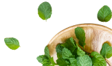 Product Ingredients