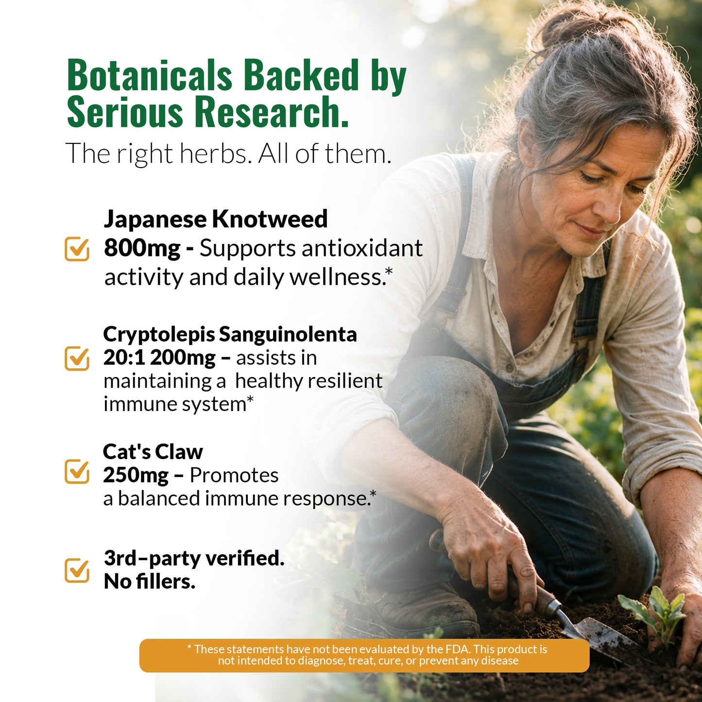 Promotional graphic for Zenmen Tick Immune Support 90 count with text listing Japanese Knotweed, Cryptolepis Sanguinolenta, and Cat's Claw, alongside a woman gardening in the background.