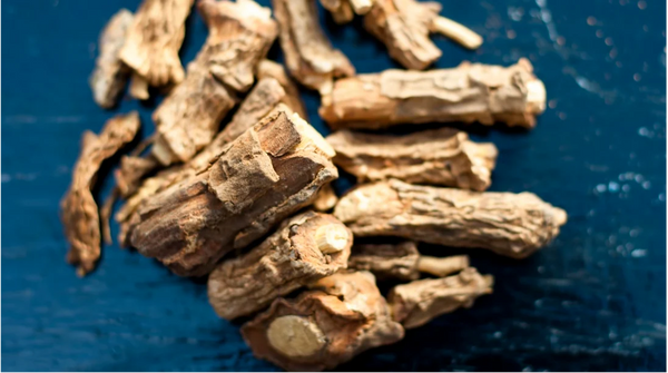 Sarsaparilla (rhizome)