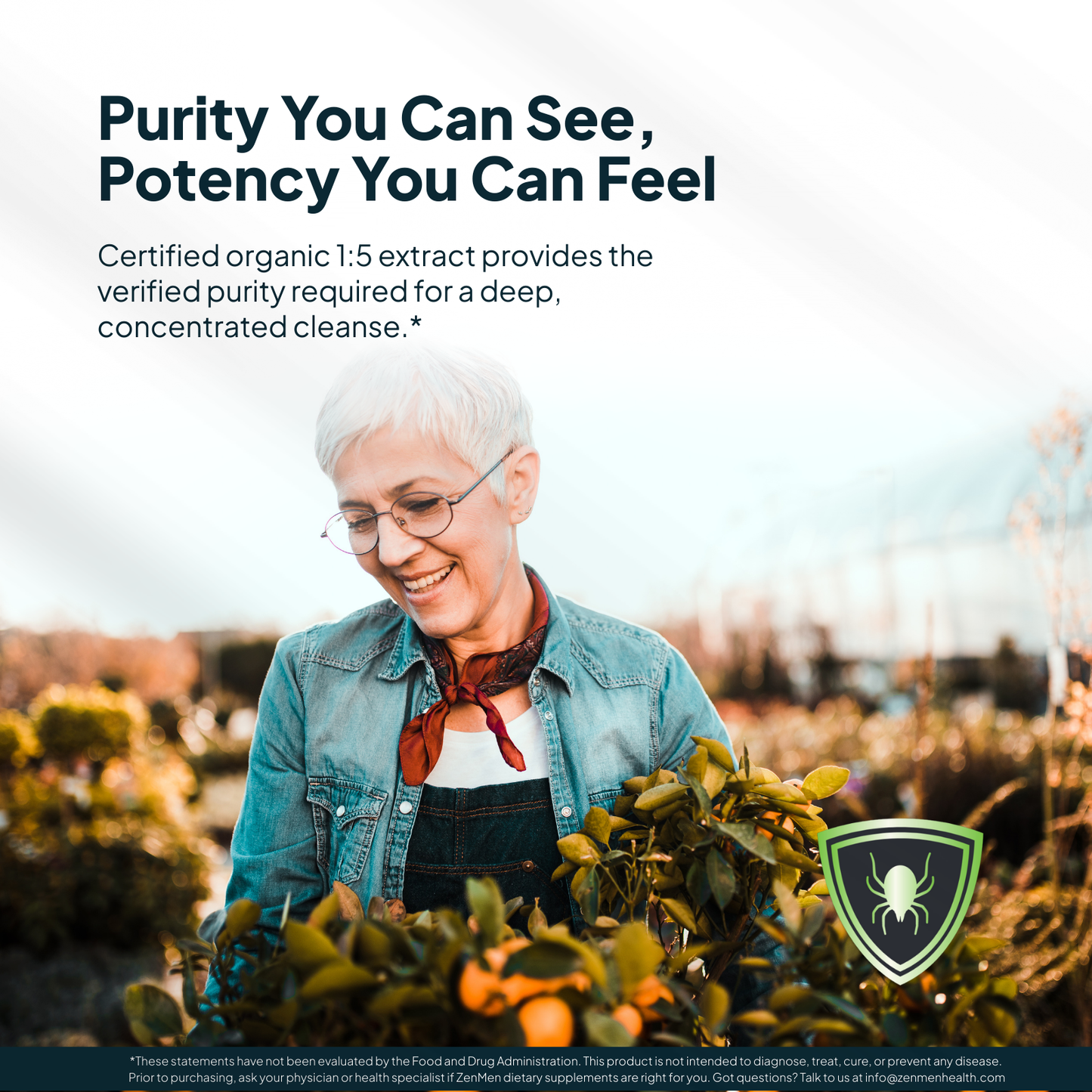 Sweet Wormwood Tincture