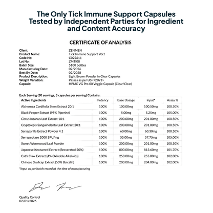 Precision botanical support for brain fog relief featuring standardized 20:1 botanical extract and laboratory-tested ingredients for mental clarity and cognitive focus during daily work activities.