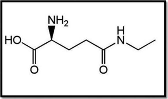 L-Theanine