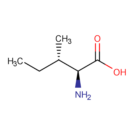 L-Lysine