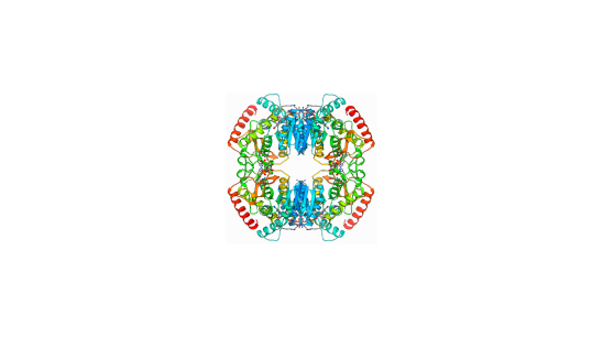 Enzyme Biofilm Blend