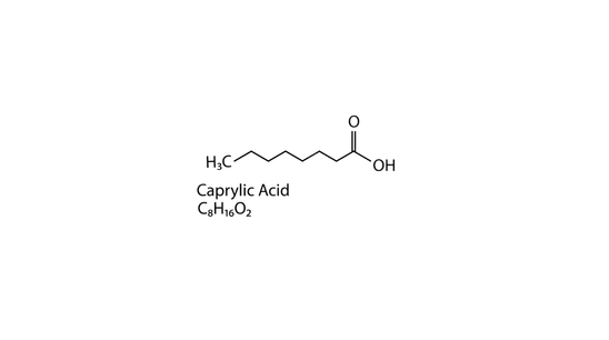 Caprylic Acid