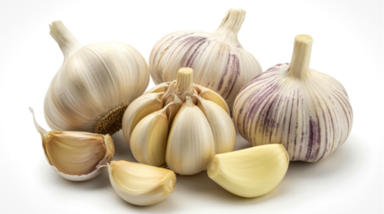 Garlic