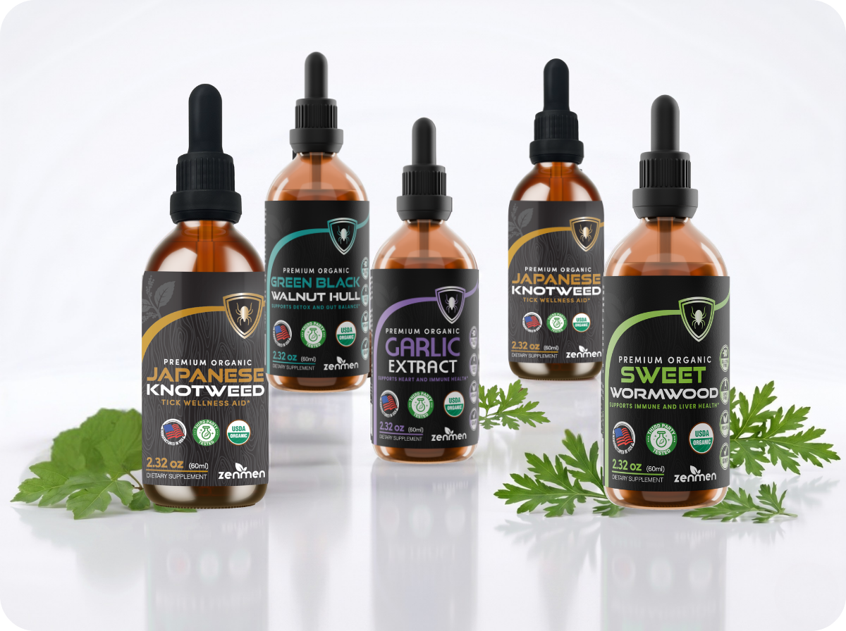 Organic Herbal Defense Bundle – Japanese Knotweed, Garlic, Green Black Walnut Hull & Sweet Wormwood