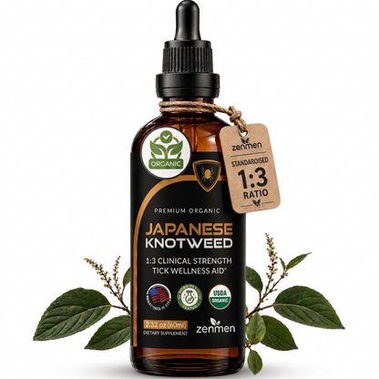 An amber glass dropper bottle of Zenmen Japanese Knotweed USDA organic dietary supplement, styled with green leaves and small flower buds on a white background.