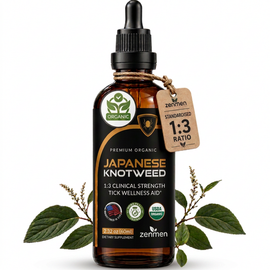 An amber glass dropper bottle of Zenmen Japanese Knotweed USDA organic dietary supplement, styled with green leaves and small flower buds on a white background.