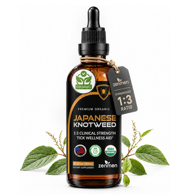 Japanese Knotweed Tincture