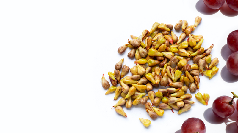 Grape Seed Extract