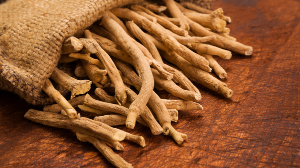 Ashwagandha Root Extract