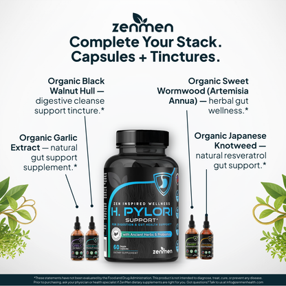 ZenMen gut wellness stack featuring H. pylori capsules with Organic Japanese Knotweed and Garlic tinctures.