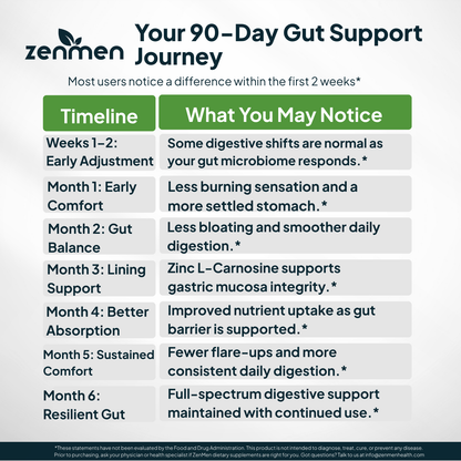 ZenMen 90-day gut support journey timeline for stomach burning relief and gastric mucosa integrity.