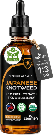 Japanese Knotweed